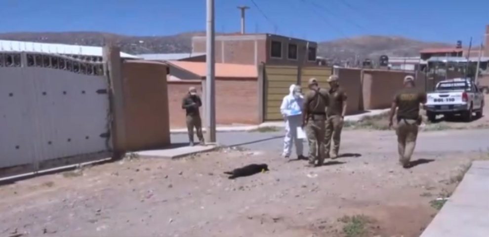 FELCDA,  investiga el caso tras la denuncia de los vecinos
