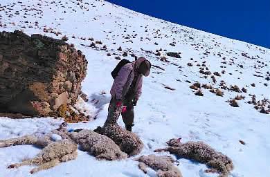 nevadasextremas