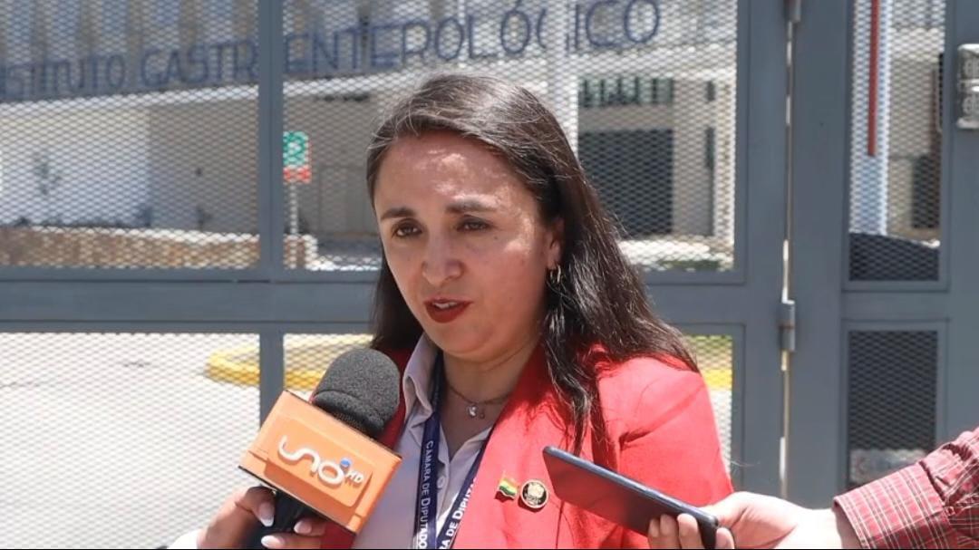 La diputada Vargas en conferencia de prensa
