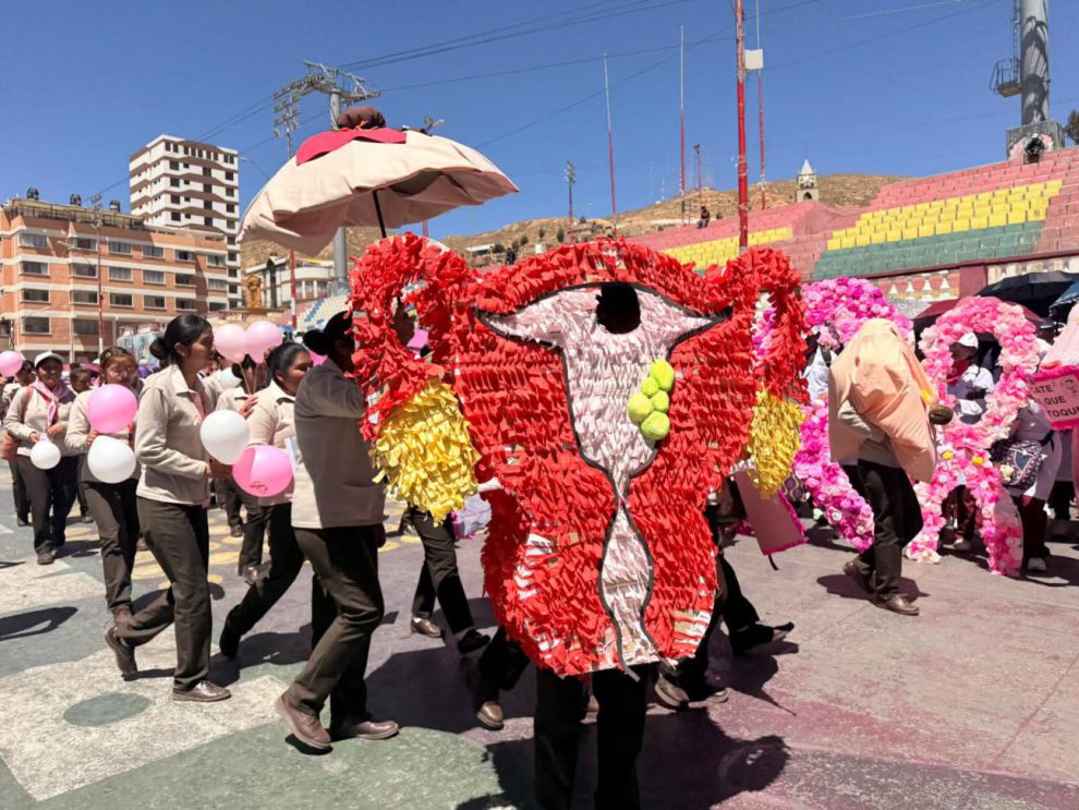 Caminata Rosa