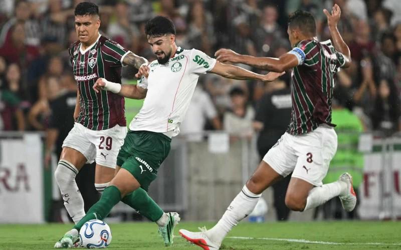 Copa Libertadores 2026, Club Palmeiras, Club Fluminense