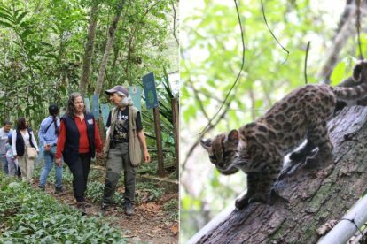 La visita de la delegación estadounidense; al lado, Tilcayo en Senda Verde