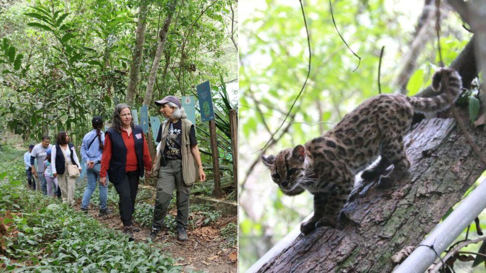 La visita de la delegación estadounidense; al lado, Tilcayo en Senda Verde
