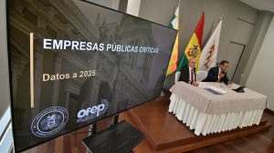 Informe del gobierno sobre empresas públicas críticas