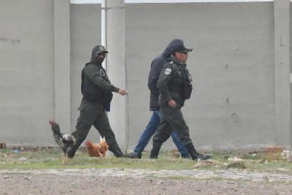 cerimedo