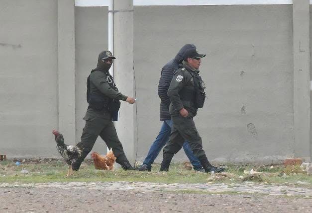 cerimedo