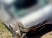 ACCIDENTE