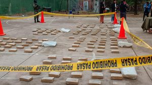 Los 41 paquetes de marihuana tenían un peso aproximado de 146,35 kilogramos.