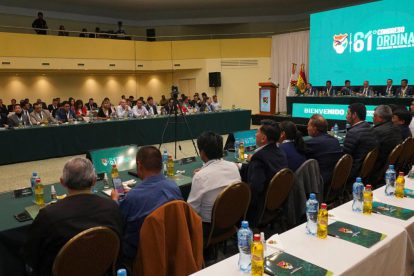 Congreso Ordinario de la FBF, Fútbol Boliviano, Clubes y Asociaciones
