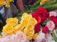 Flores