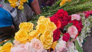 Flores