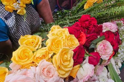 Flores