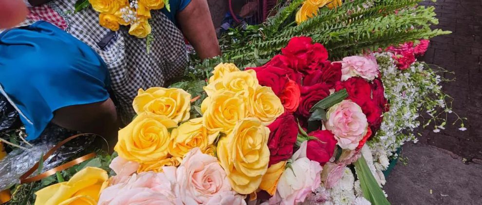 Flores