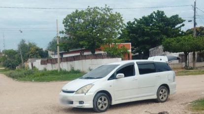 Vehículo blanco