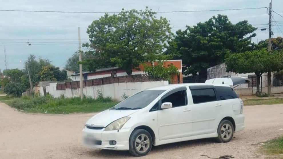 Vehículo blanco