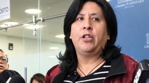 La diputada Bilbao en conferencia de prensa