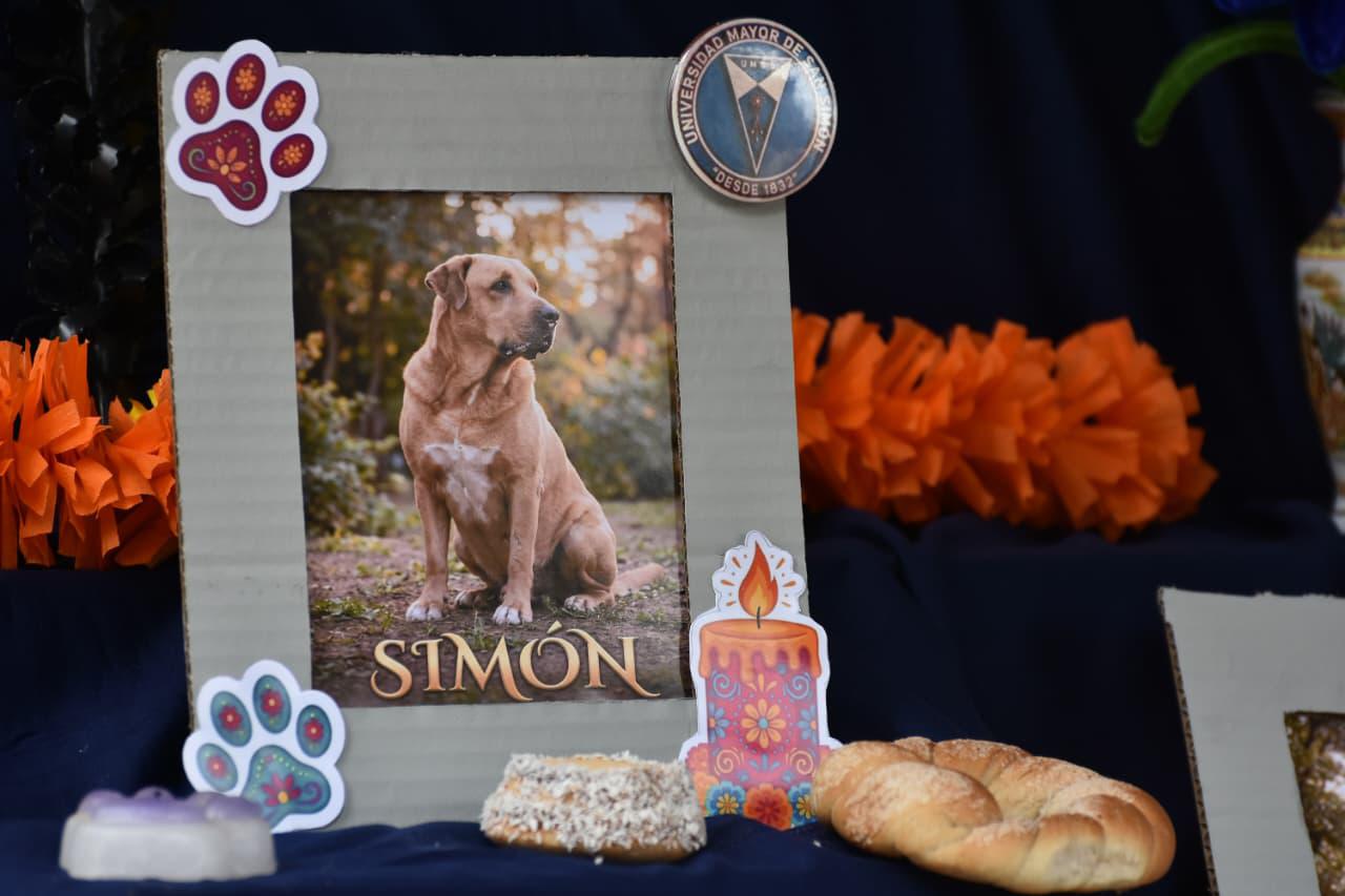 Cada 27 de octubre se recuerda a los animales que formaron parte de las familias.