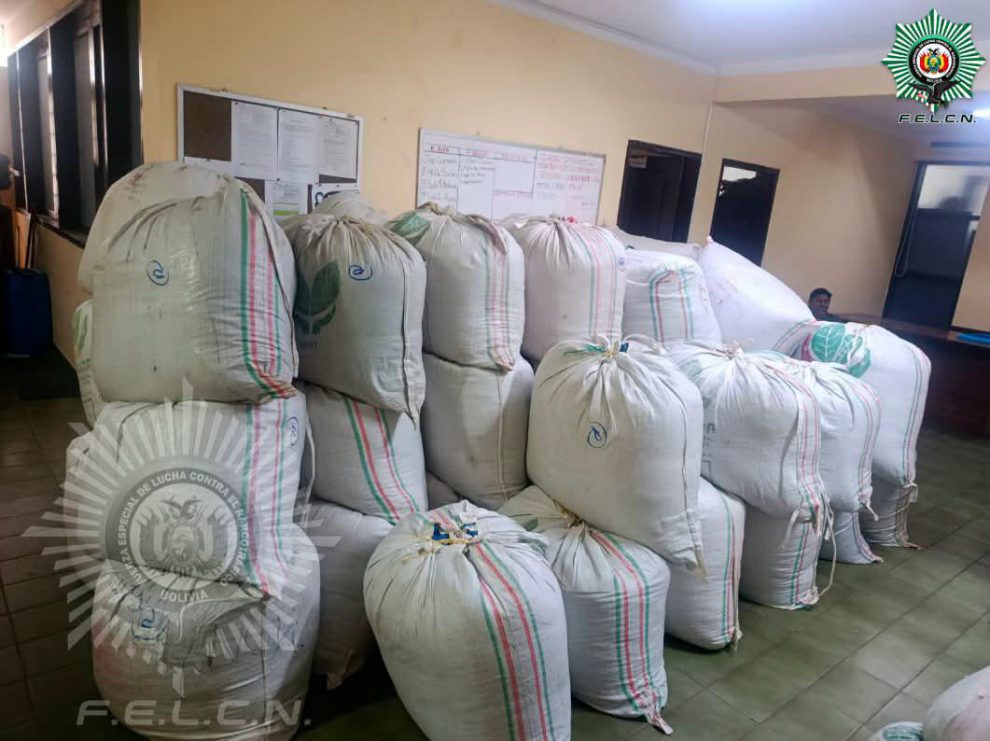 Imagen de la coca