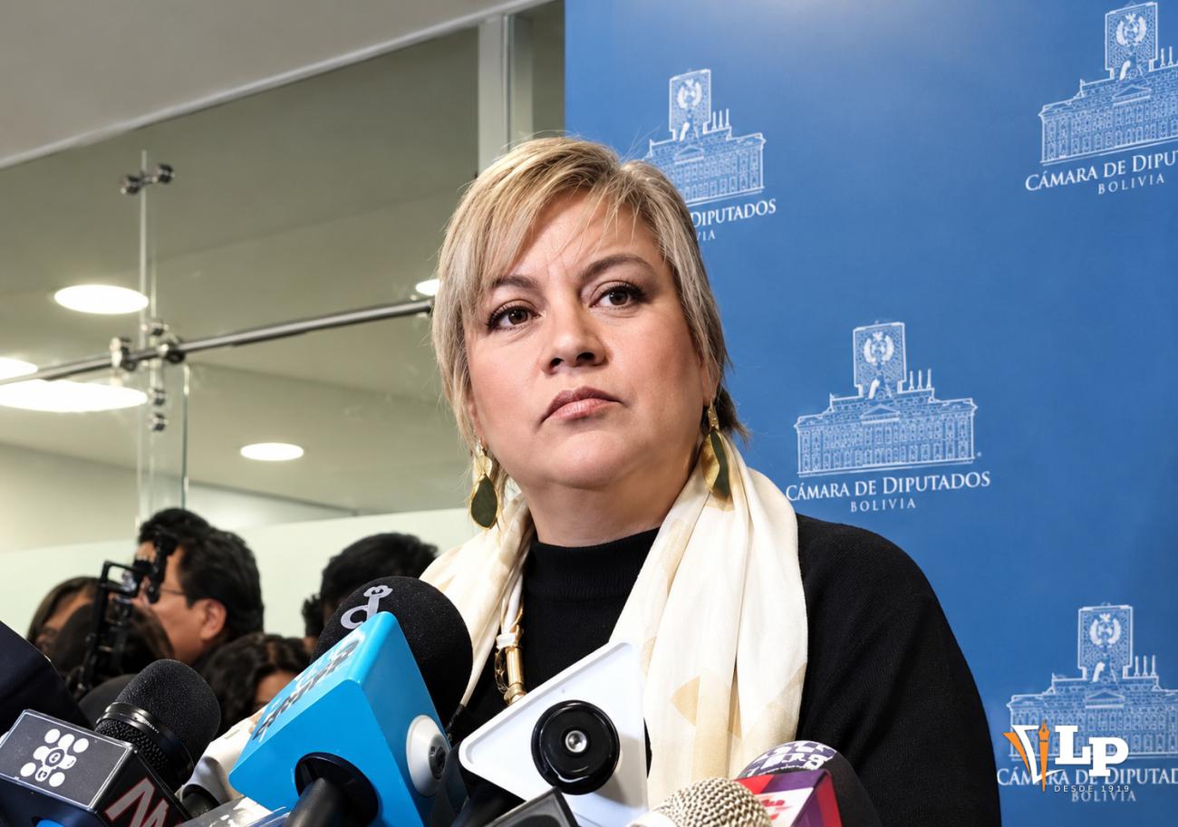 La diputada Patiño en conferencia de prensa