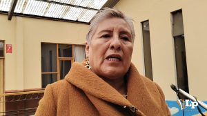 Eve Mamani Roldan