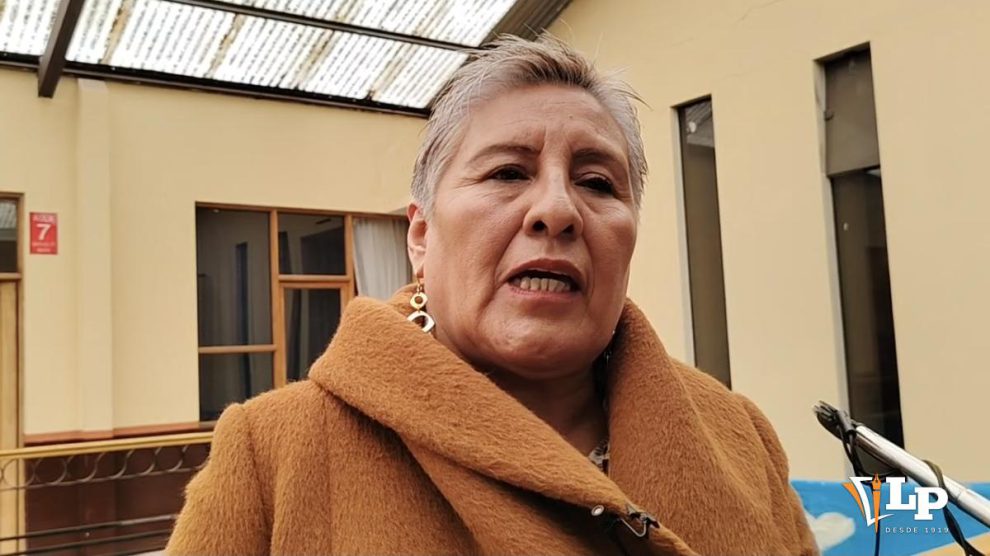 Eve Mamani Roldan