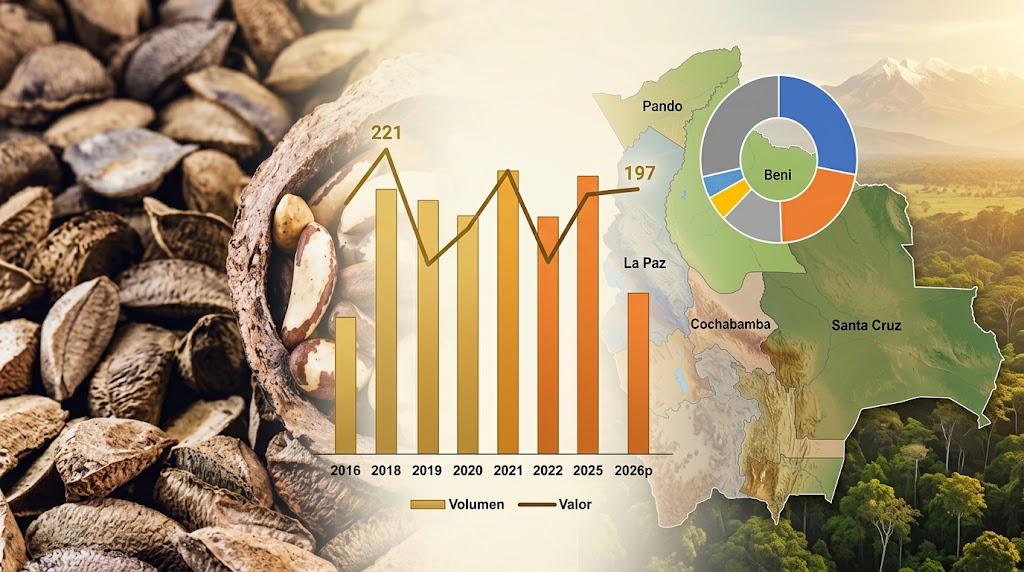 Las exportaciones de castaña podrían alcanzar un nuevo récord durante 2026.